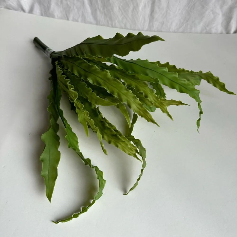 NWT Ashland Green Leaf Stem